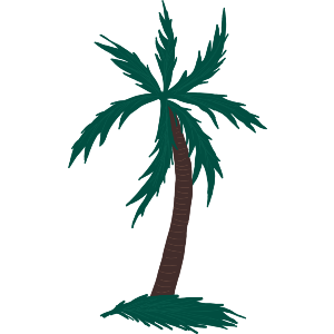Palm-tree Swaying In The Breeze