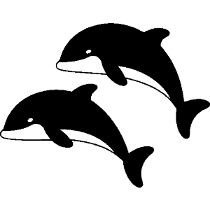 Two Dolphins
