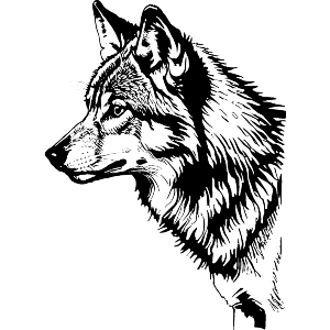 Mexican Wolf Profile