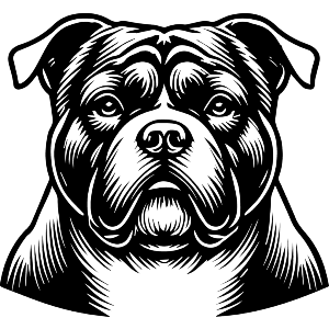 Bulldog