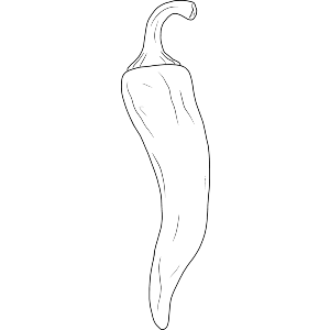 Spicy Chilli Pepper
