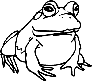 Toad