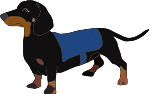 Black & Tan Dachshund