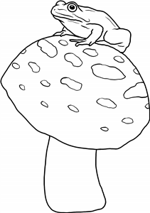 Frog On Toadstool