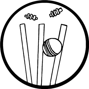 Cricket Wicket