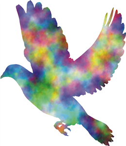 Colourful Flying Dove