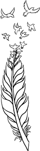 Bird Feather
