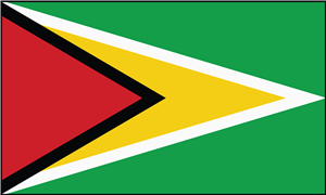 Guyana Flag