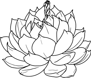 Flowering Succulent