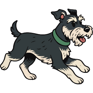 Running Schnauzer Dog
