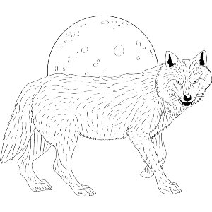 Wolf & Full Moon