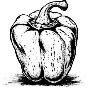 Single Bell Pepper 