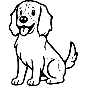 English Springer Spaniel