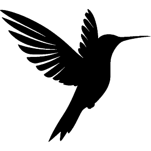 Hummingbird Silhouette