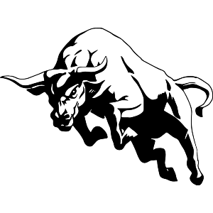 Charging Bull 