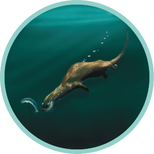 Otter Underwater
