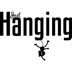 Funny Hanging Monkey
