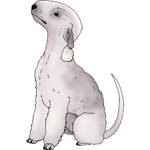 Sitting Bedlington Terrier Dog