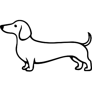 Sausage Dog