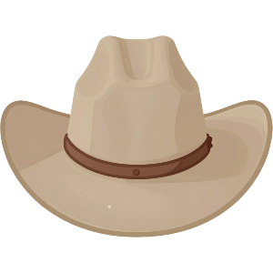 Cowboy Hat