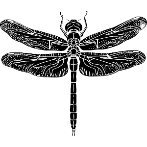 Abstract Dragonfly