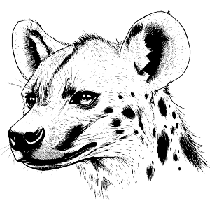Hyena Side View