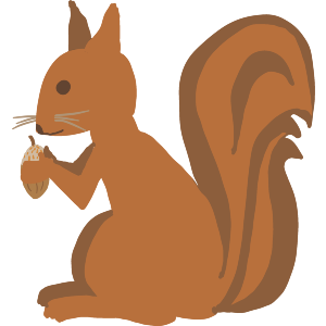 Squirrel With Acorn