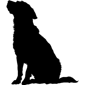 Silhouette of Dog Sitting