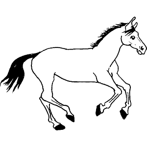 Horse