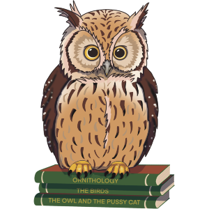 A Cute Owl on a Stack of Books