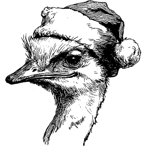 Ostrich Wearing Santa Hat
