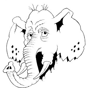 Elephant Head