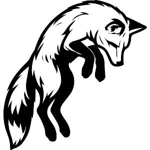 Fox Jumping In The Air After Prey