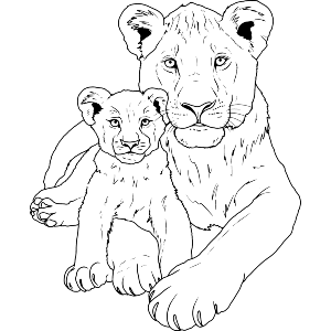 Lioness and Cub