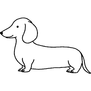 Dachshund Side View