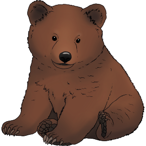 Bear Cub Sitting