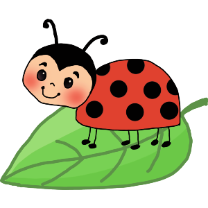 Ladybird