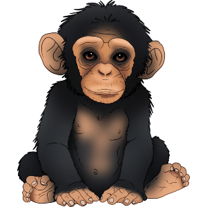 Charming Baby Monkey