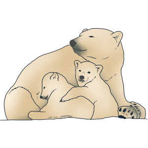 Polar Bear Mother & Cubs