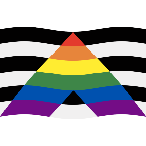 Waving Straight Ally Flag
