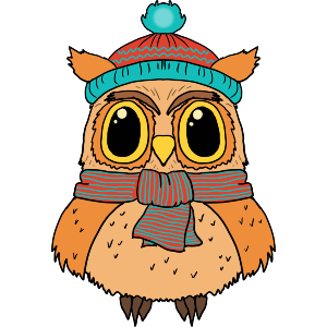 Cute Winter Owl