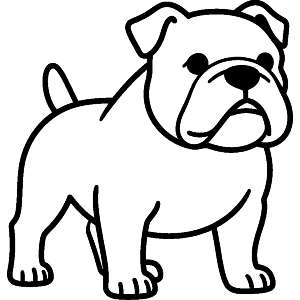 Bulldog Line Art