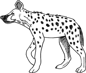 Hyena