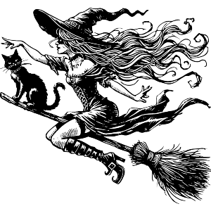Cool Witch On Broomstick