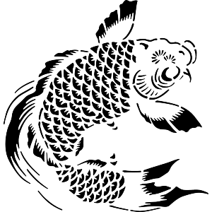 Koi Carp