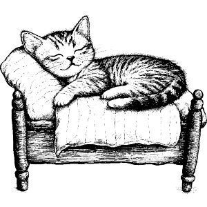 Cute Kitten Sleeping