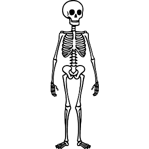 Creepy Skeleton