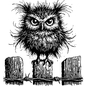 Angry Owl On Fence Post