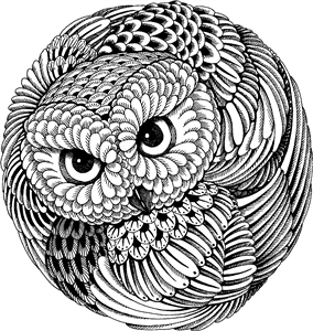 Owl Feather Pattern