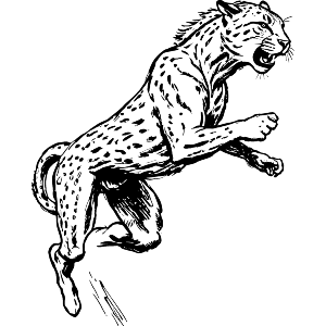 Cheetah Attack 
